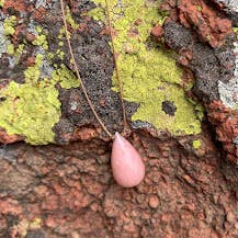 Pink Opal Faceted Briolette Teardrop Necklace