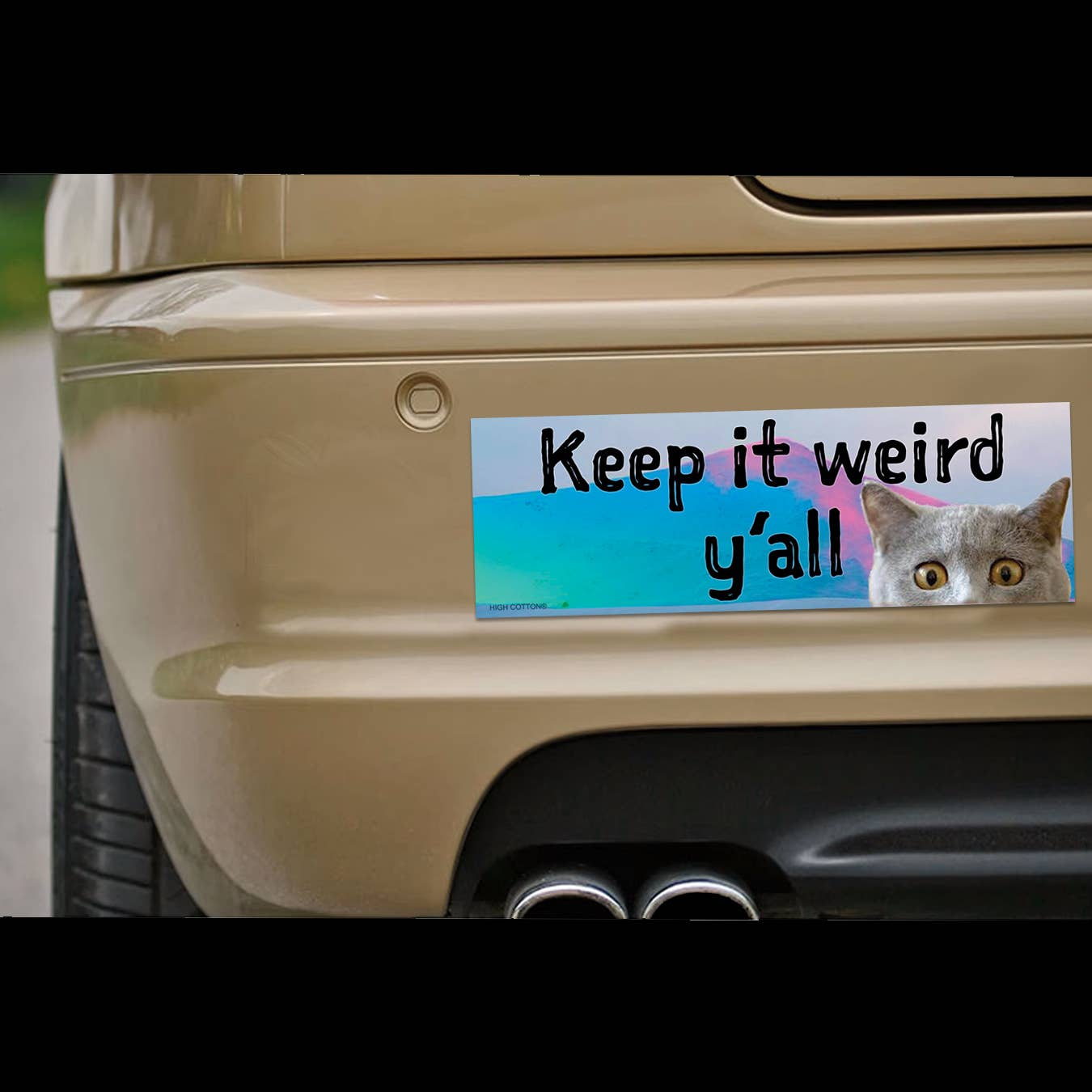 Keep It Weird Y'all magnet