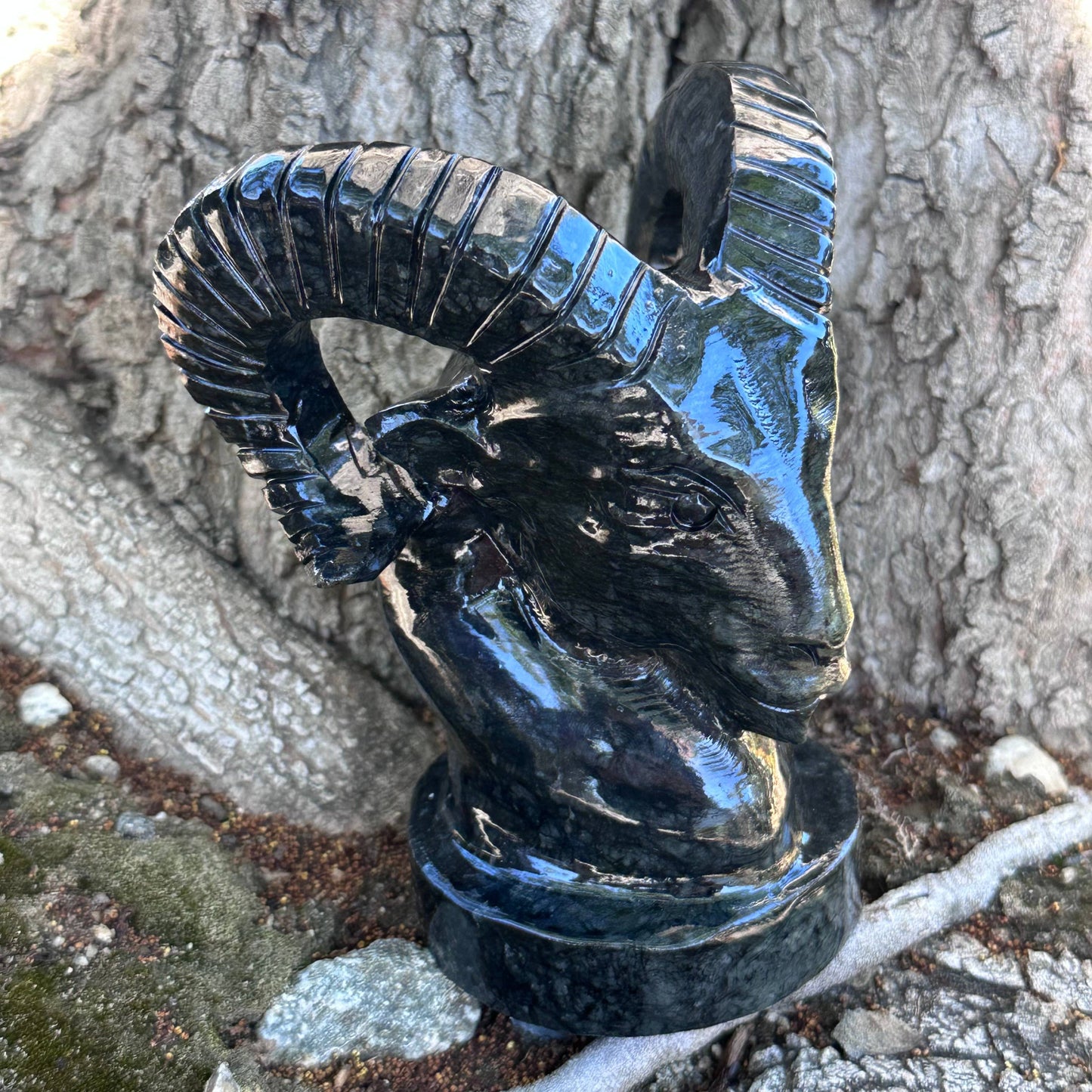 Dark Serpentine Ram Bust | Sold Individually