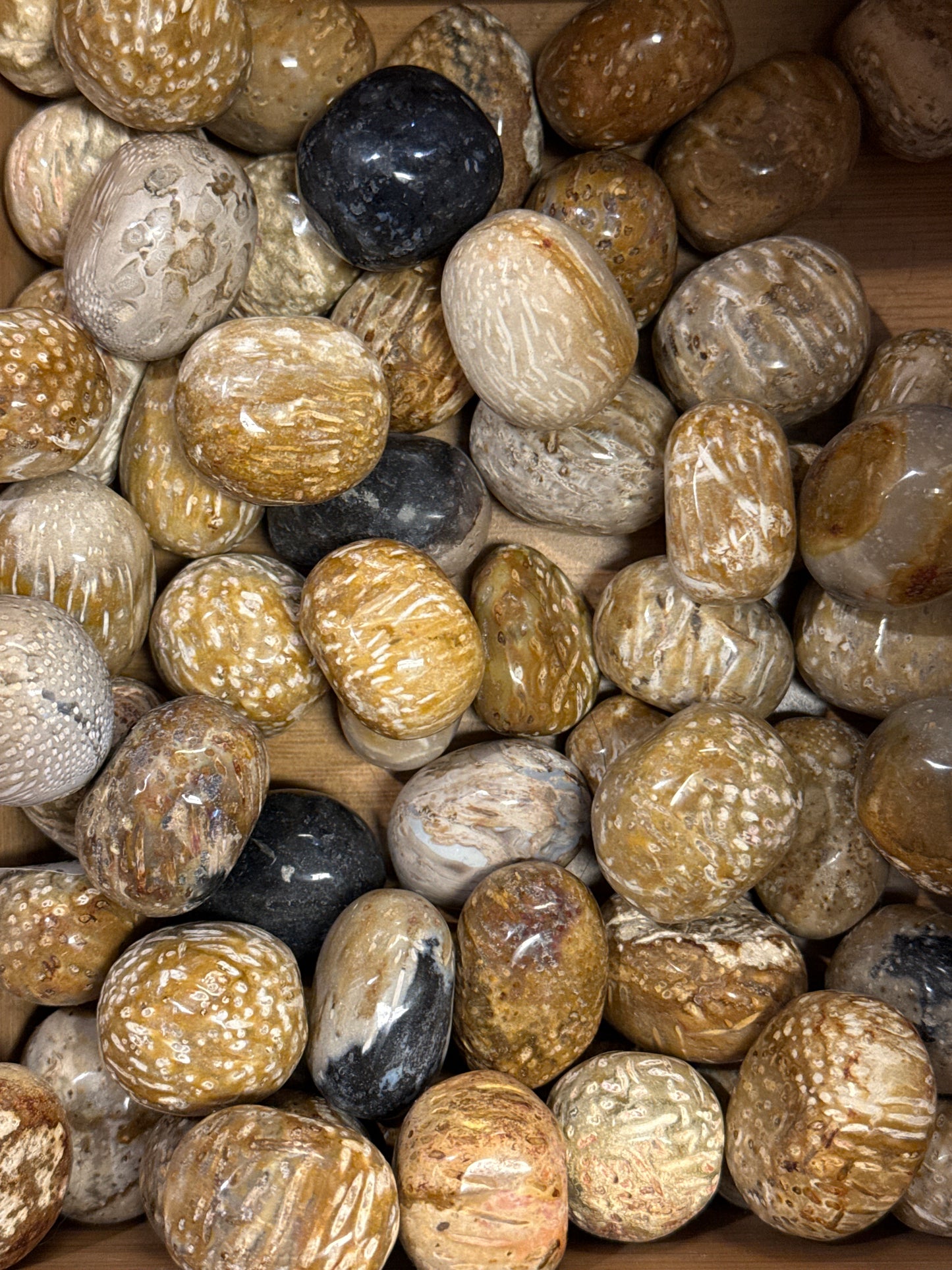 Tumbled Raw Small Stones Crystals All Varieties
