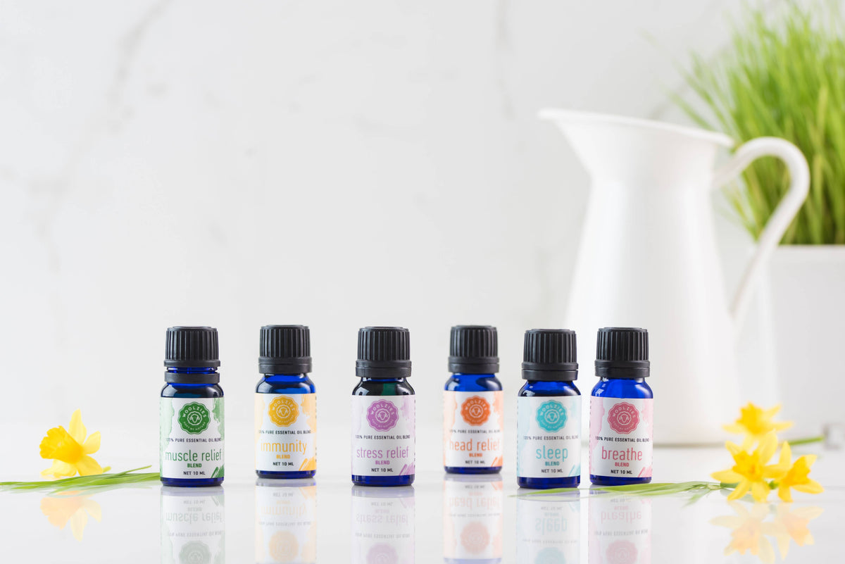 Breathe Blend Essential Oil 10ml