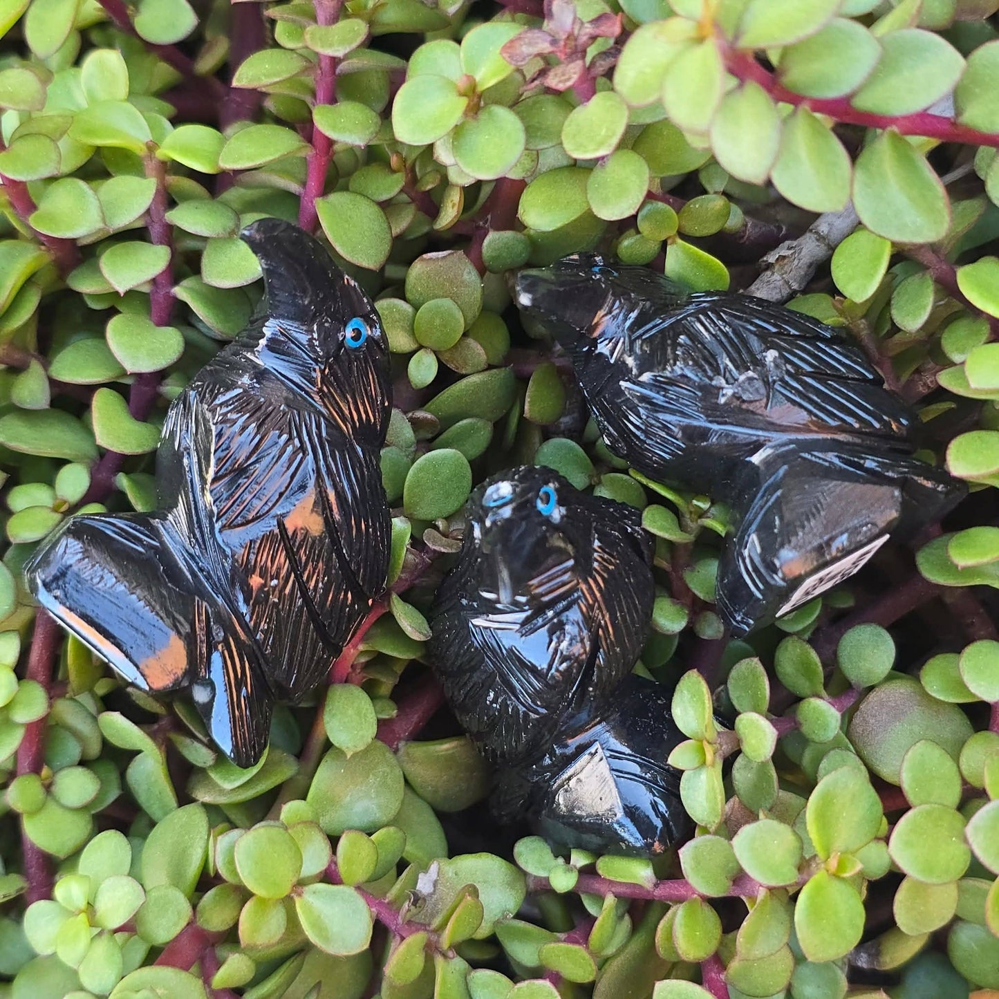 3 Eyed Onyx Ravens ~ Crystal Animal Carvings ~ Minerals