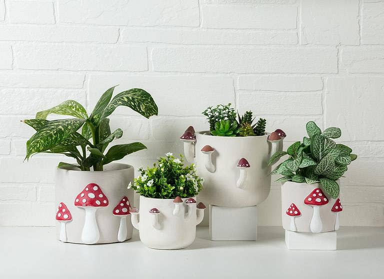 Sprouting Mushroom Planter-6"H