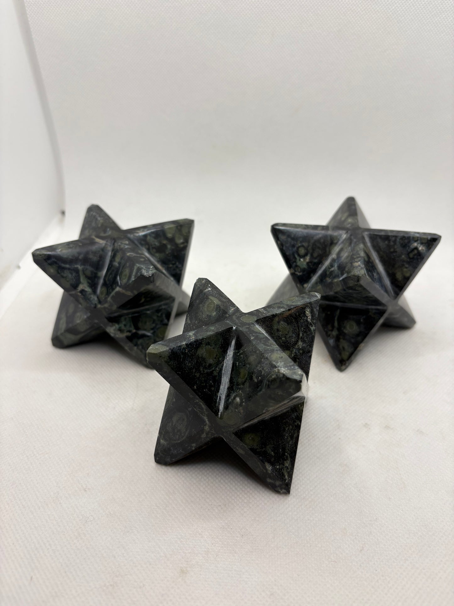 Crocodile Jasper Merkaba