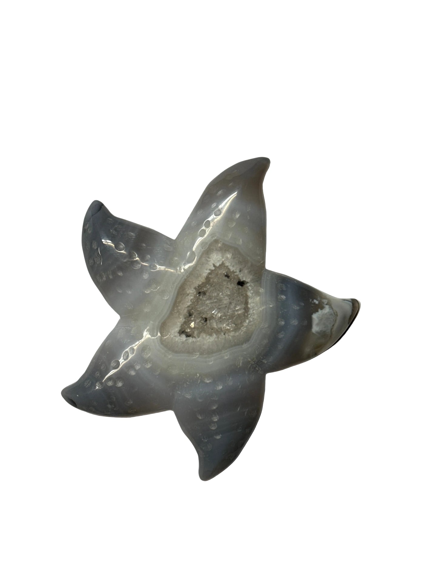 Agate Starfish 4.5" x 4.5"