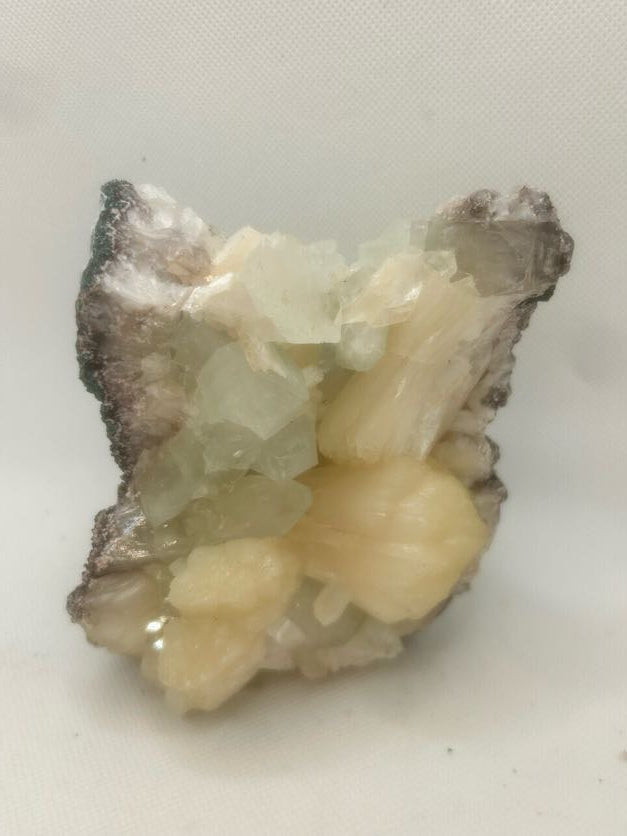 Stillbite