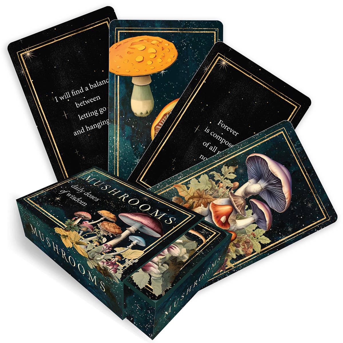 Mushrooms: Daily Doses of Wisdom (36 Gilt-Edged Mini Cards)
