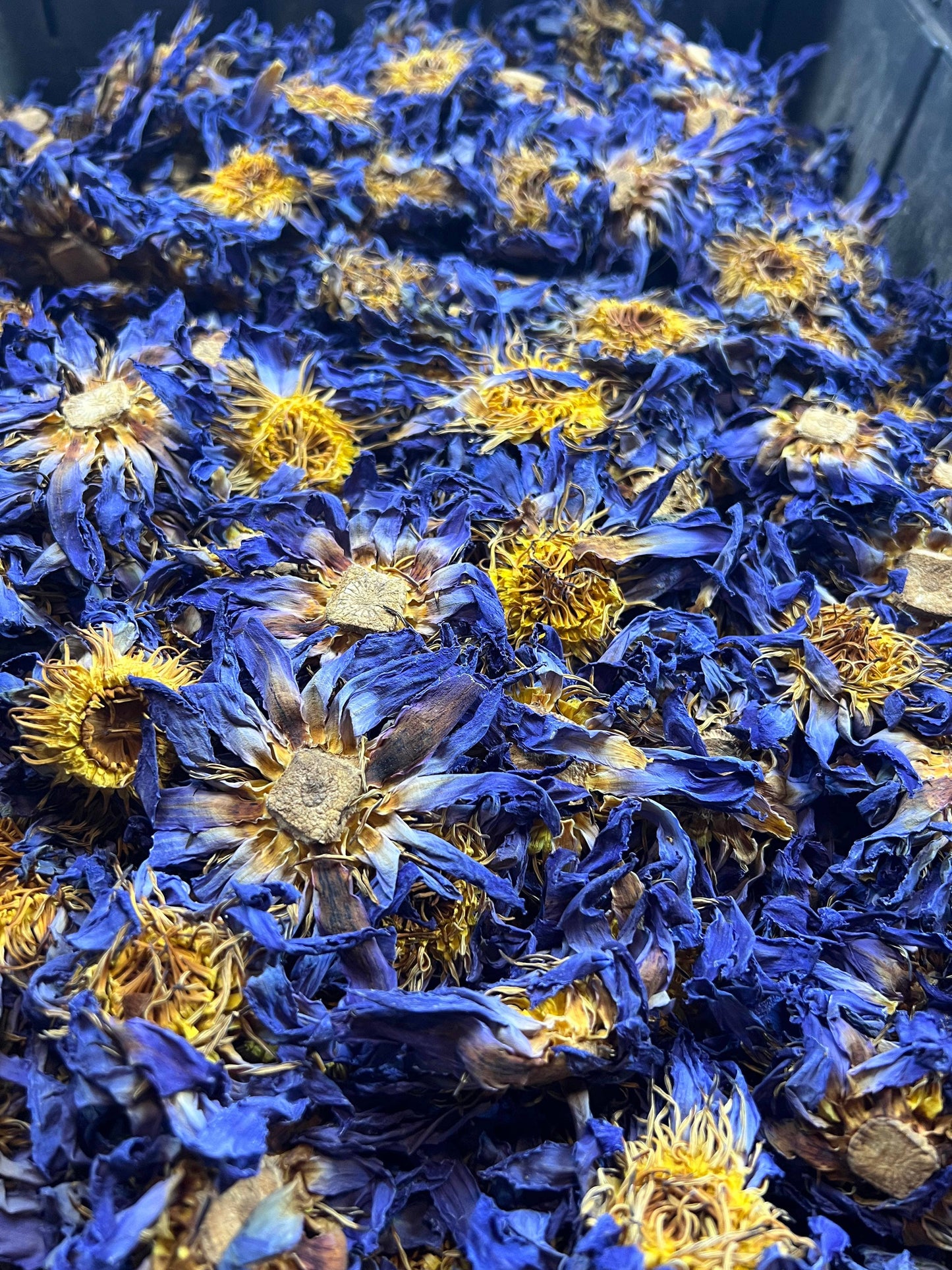 Blue Lotus Whole Flower 1 oz in Quart Jar