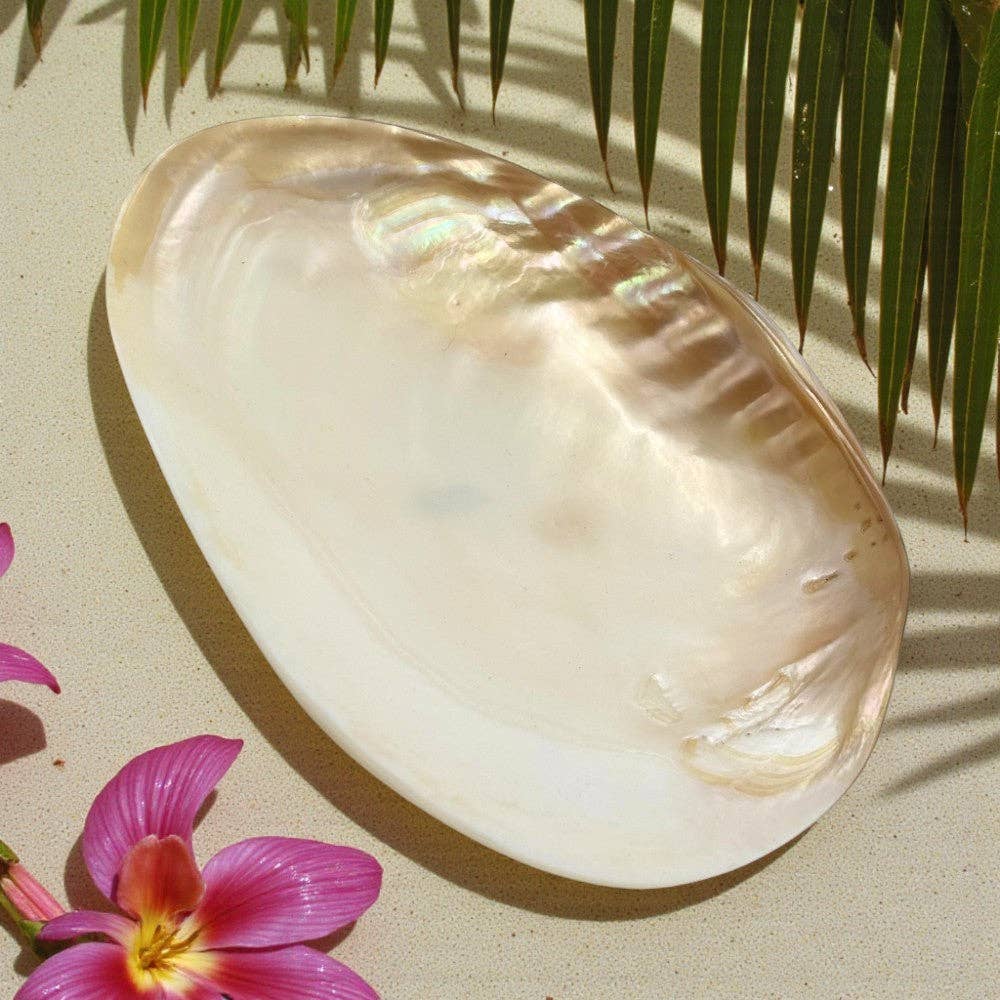Bowl - Cebu Clam Shell