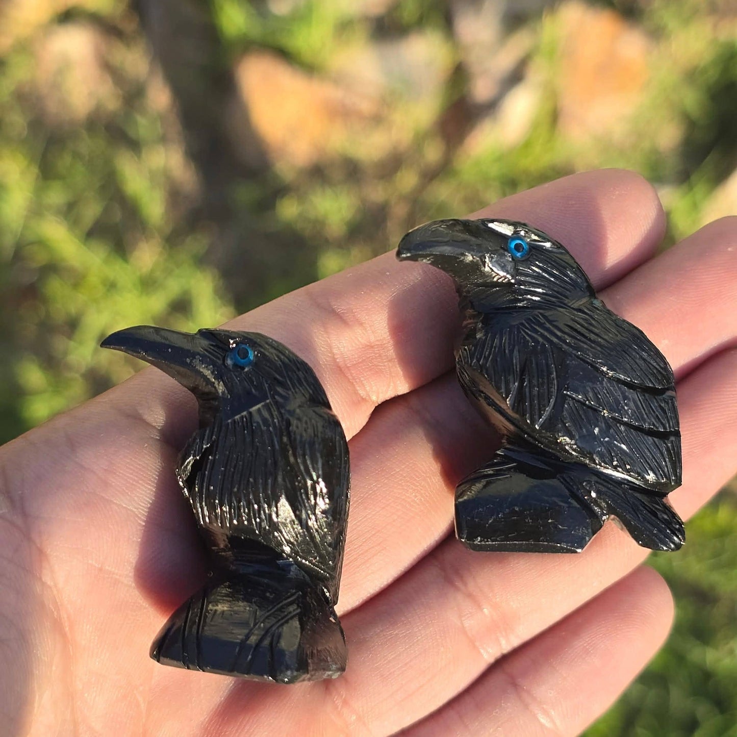 3 Eyed Onyx Ravens ~ Crystal Animal Carvings ~ Minerals