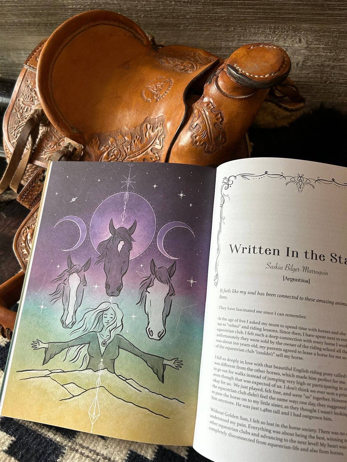 Unlocking the Wisdom of the Horse Within You Book
