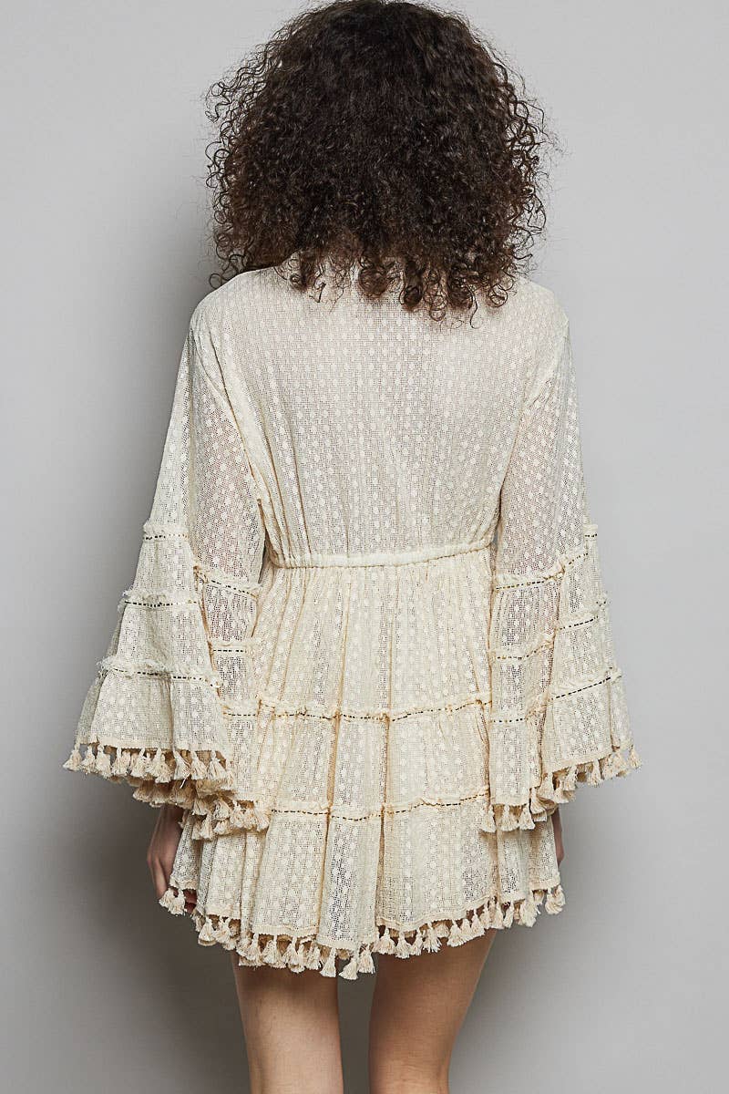 Split Embroidery Tassel Detail V-Neck Flared Short Dress