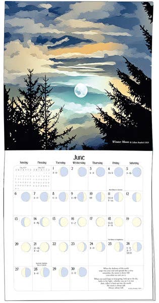 We'Moon on the Wall 2027 Astrological Moon Phase Calendar
