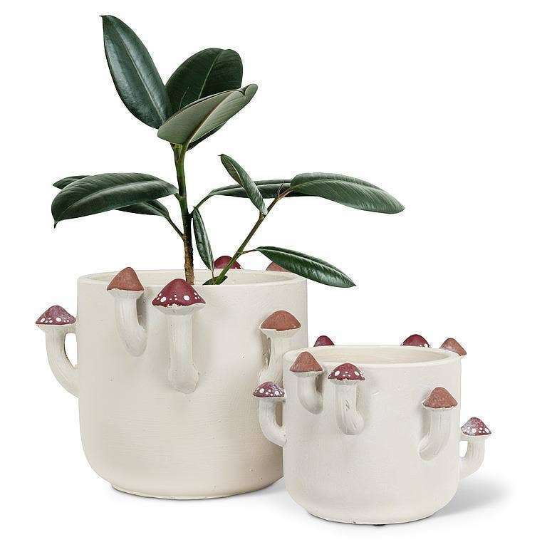 Sprouting Mushroom Planter-6"H