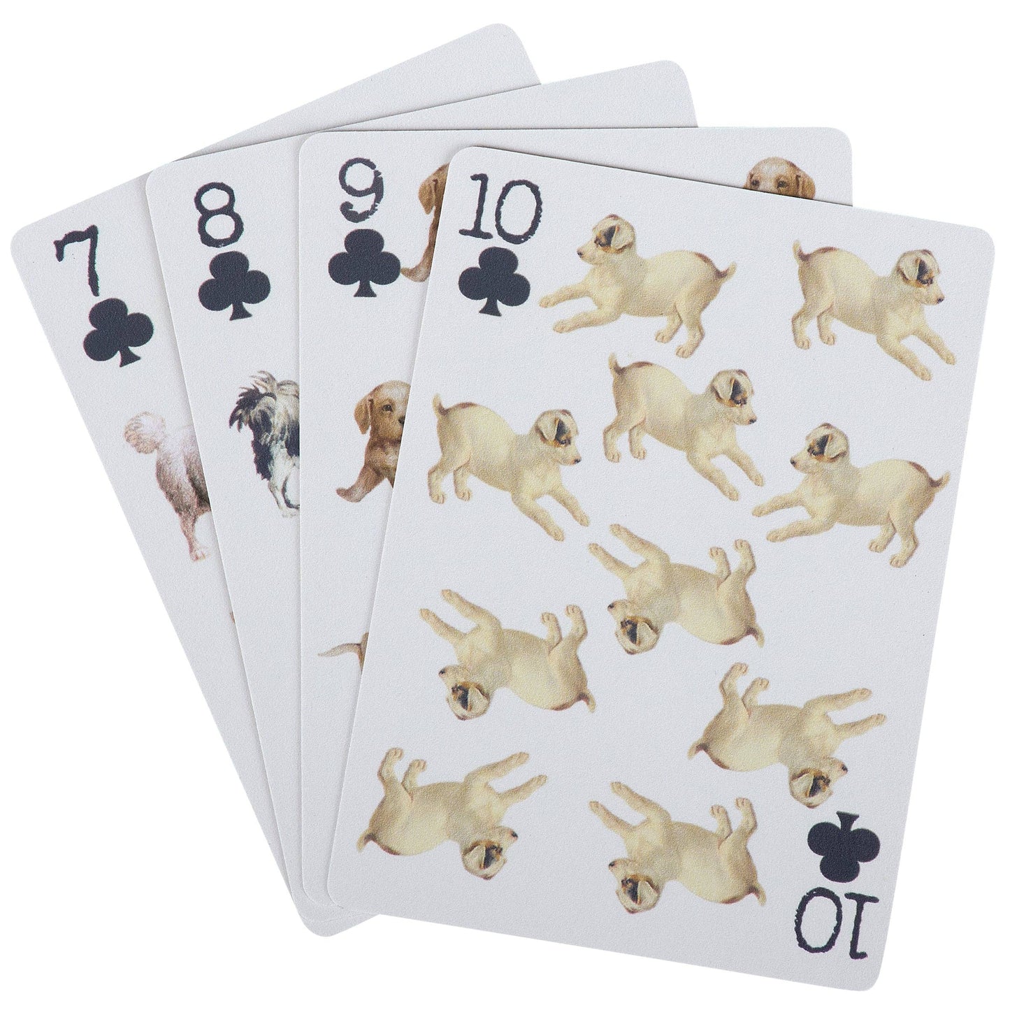 Playing Cards Various Themes