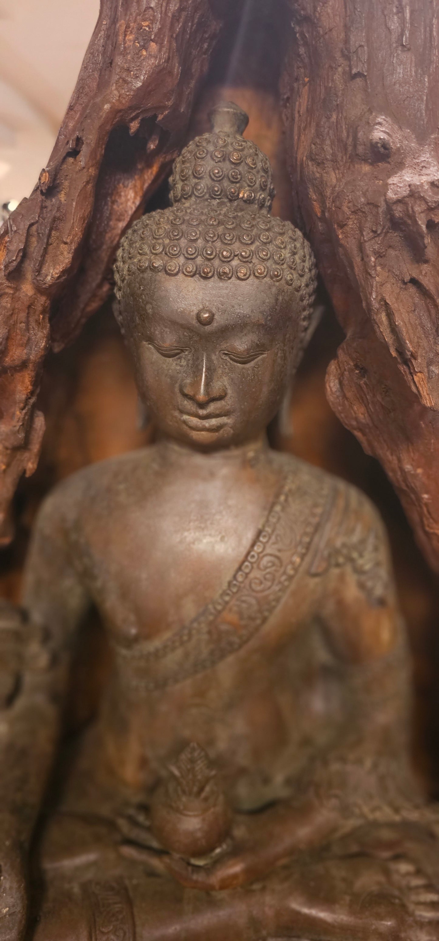 Buddha with Hand Drawn- Bronze Encased in Wood
