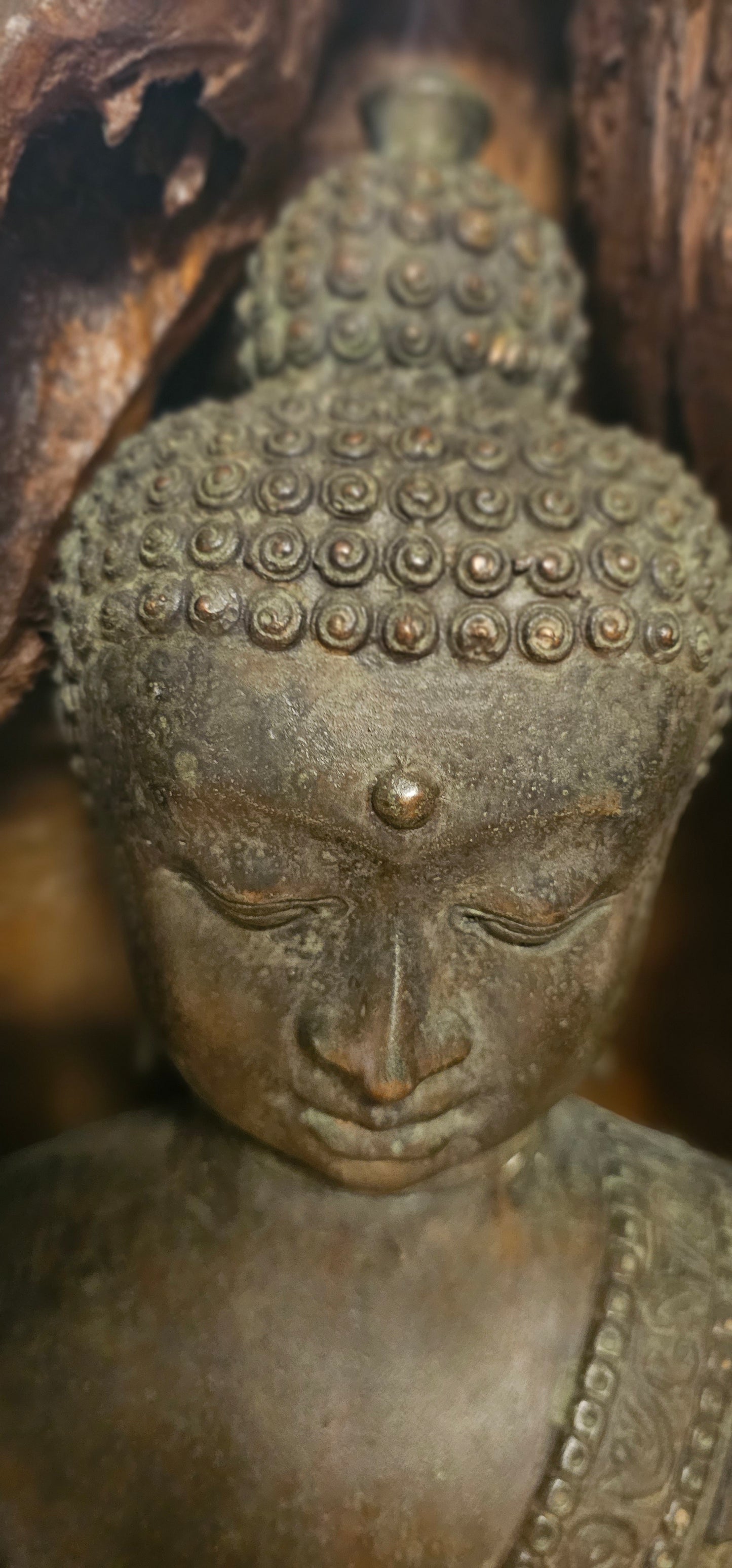 Buddha with Hand Drawn- Bronze Encased in Wood