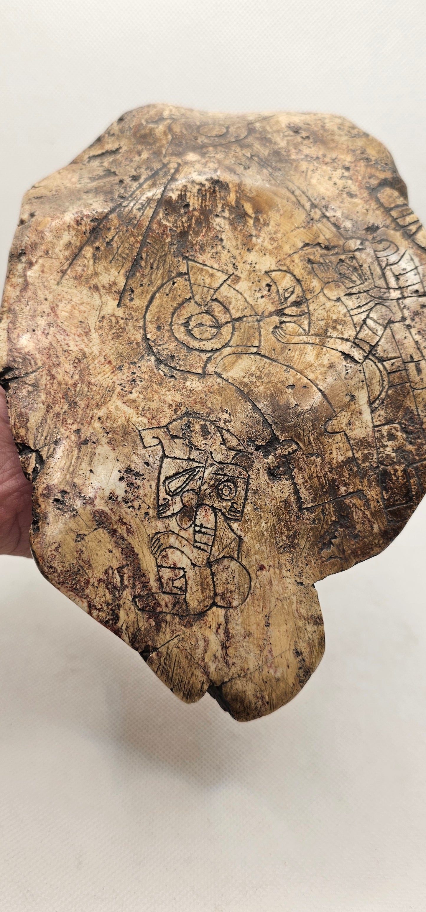 Jalisco Mexico Artifacts- Aligning with the Elements- Alien Carving