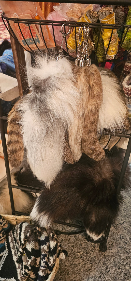 Asian Fox Tail