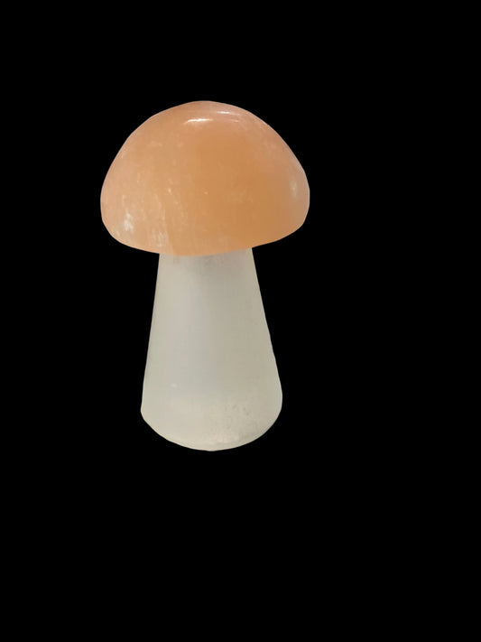 Selenite Mushroom 3-4"  Orange Top White Stem