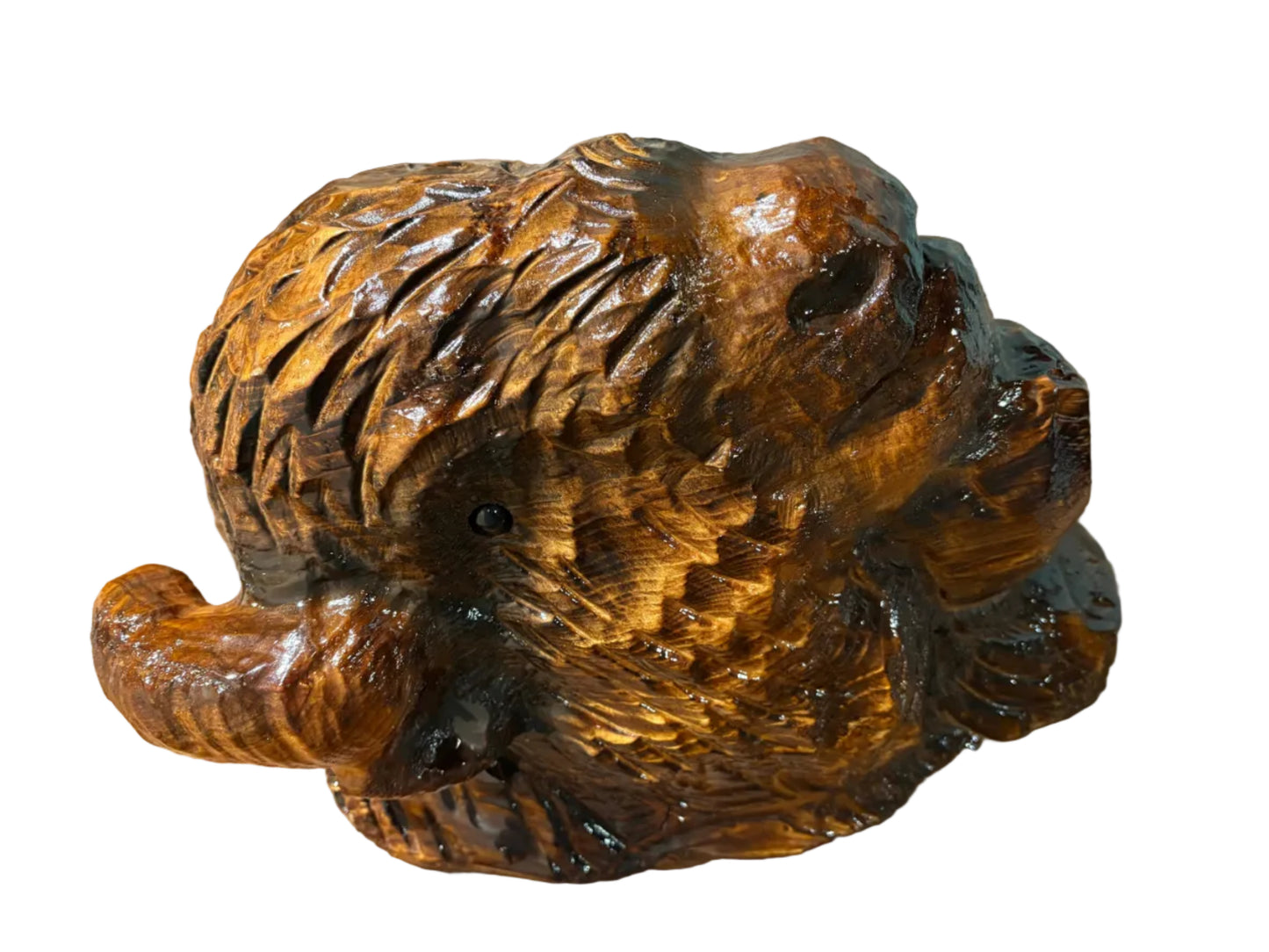 Wood Carved Bison Head