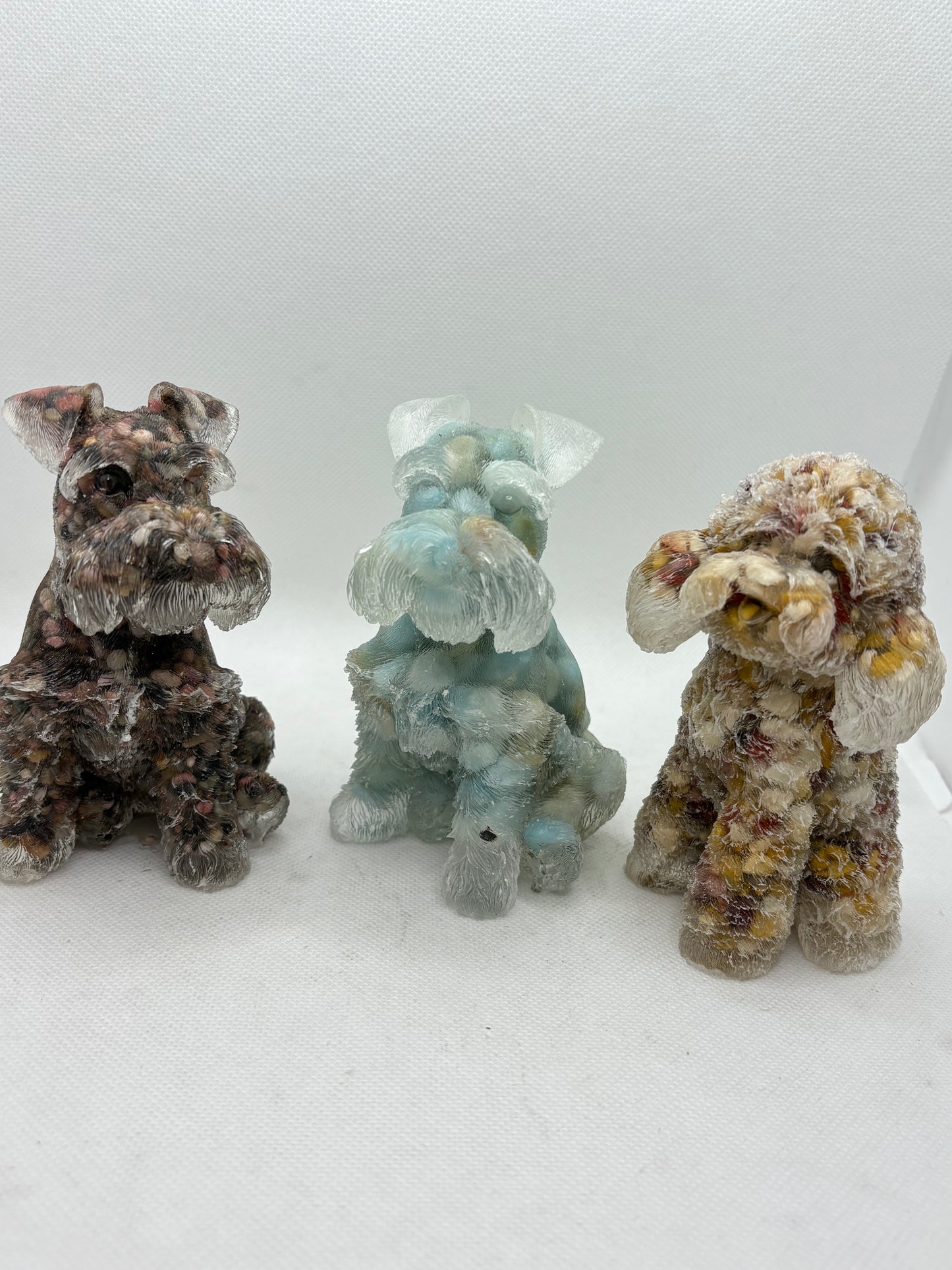Dog Stone in Rosin