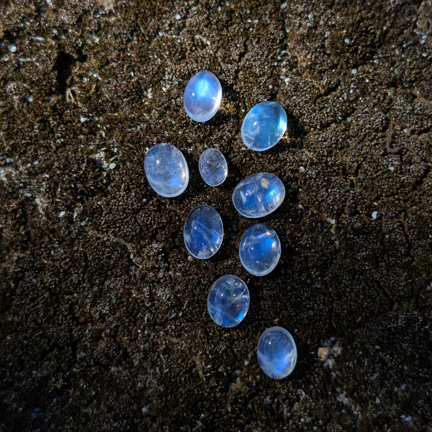 Tiny Baby Moonstone Cabochons