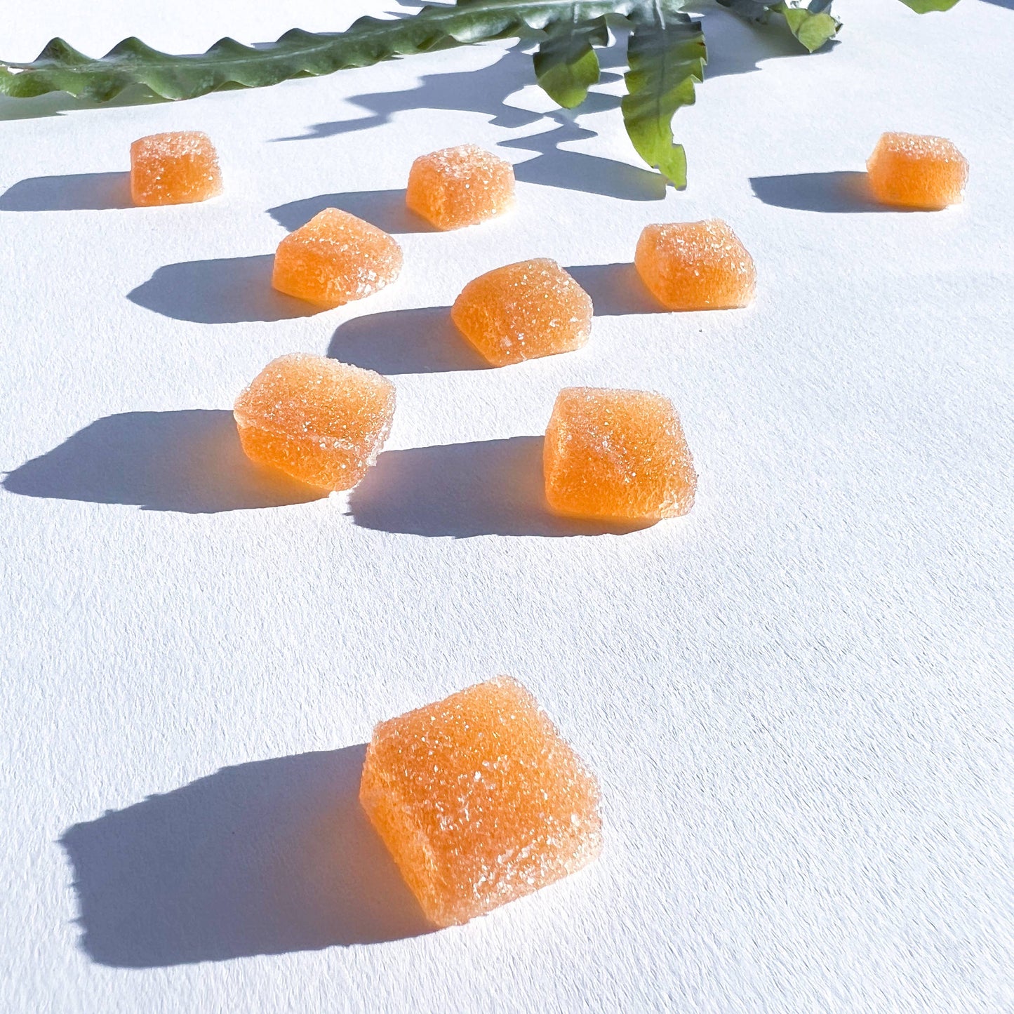 Concentrate Mushroom Gummies 30 Count Microjoy