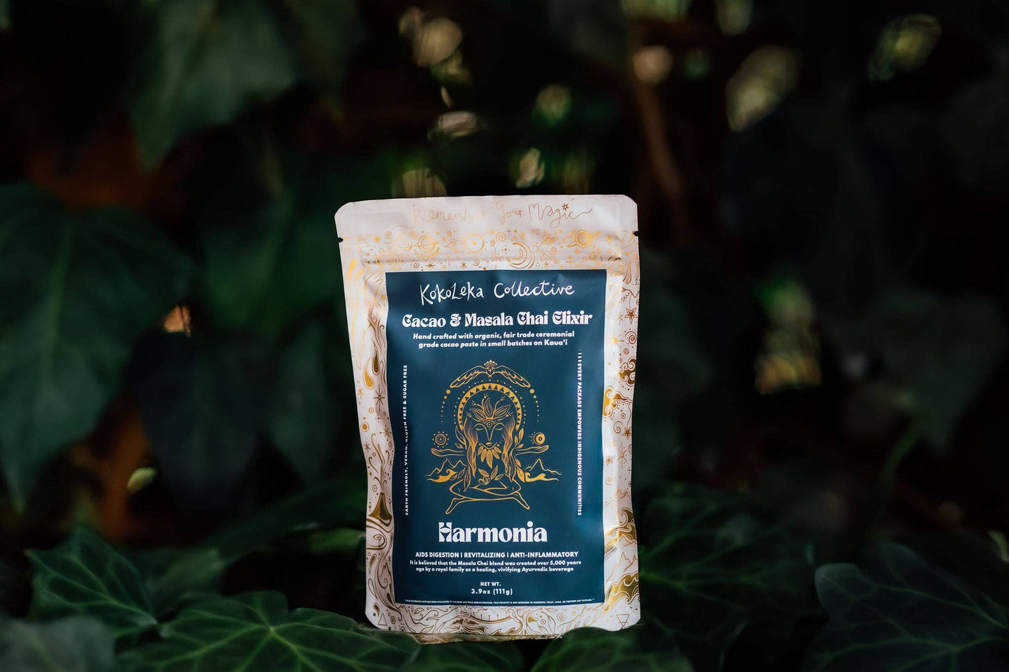 Harmonia - Masala Chai & Ceremonial Cacao Elixir