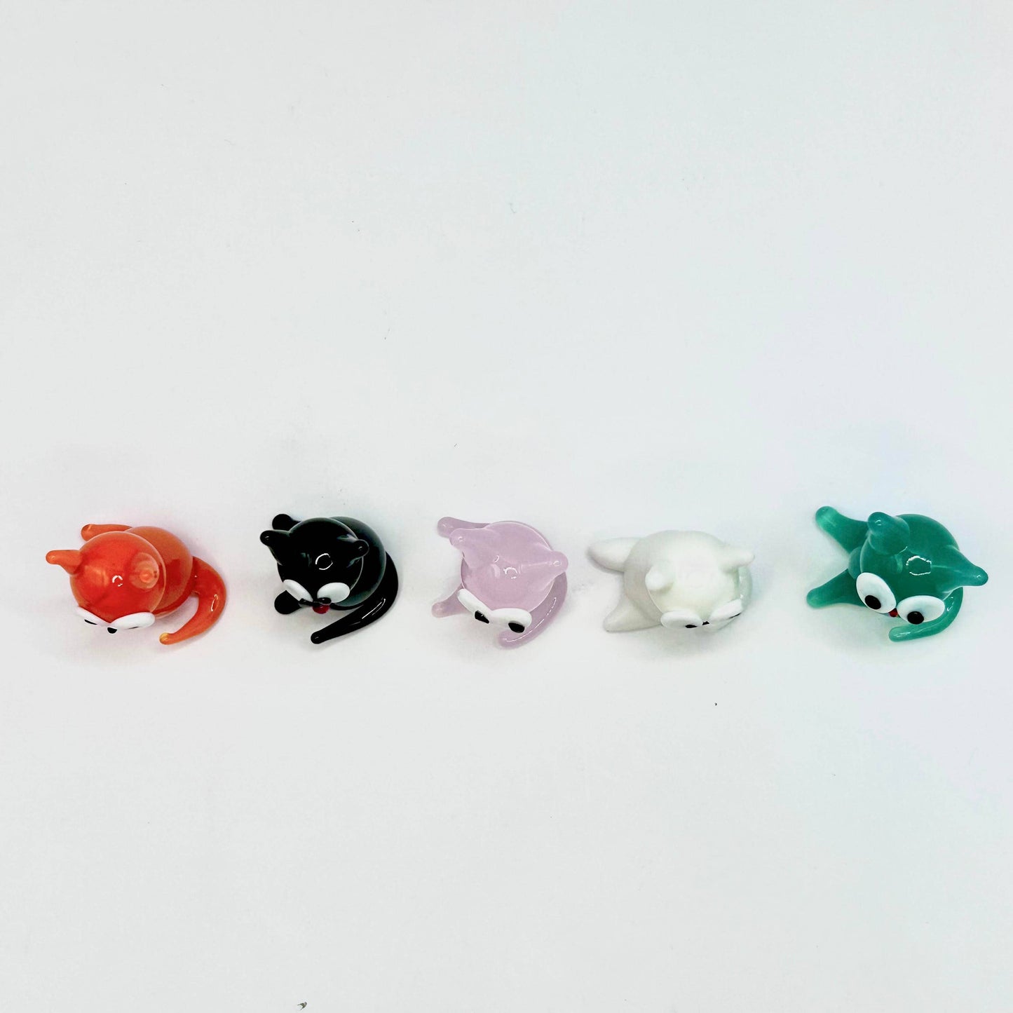 Glass Cat