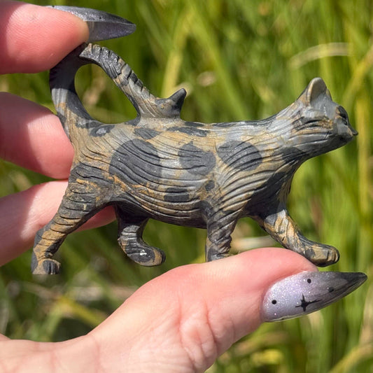 Leopard Jasper Strolling Cat