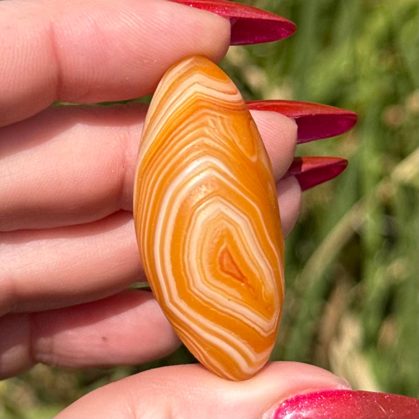Gobi Agate Specimen