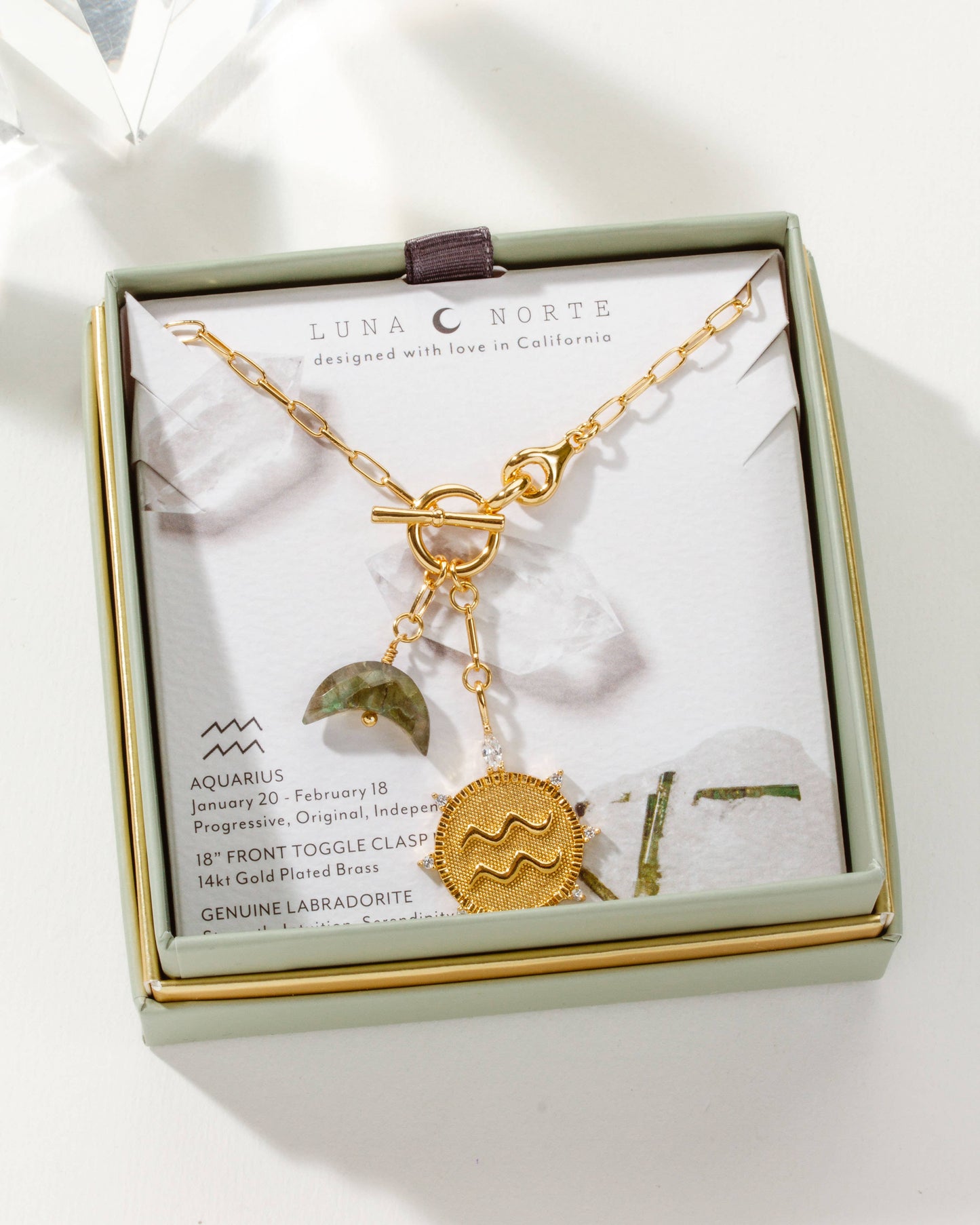 Aquarius Lunar Front Toggle Zodiac Necklace