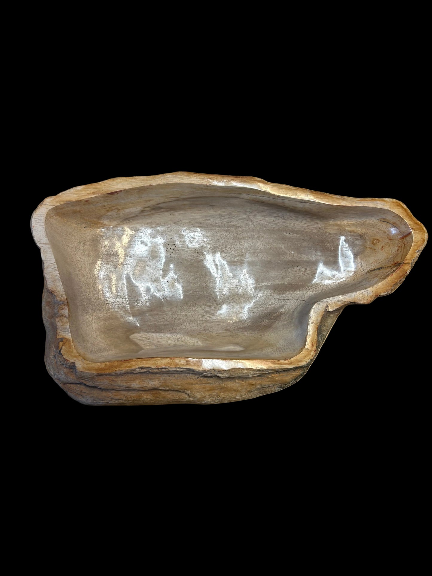 Petrified Wood Bowl