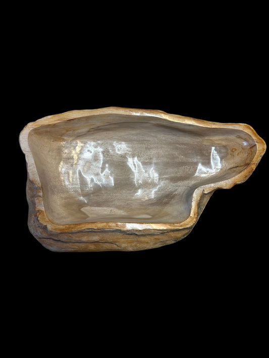 Petrified Wood Bowl