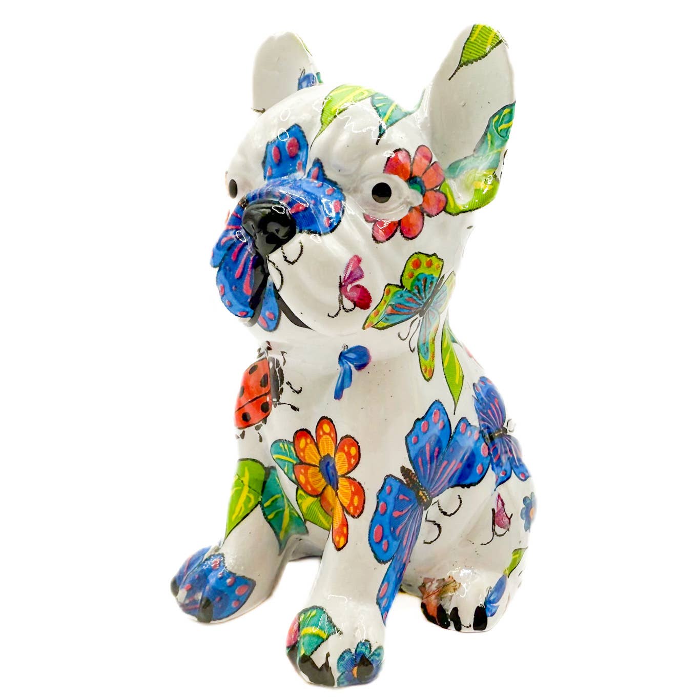 Vibrant Pooch