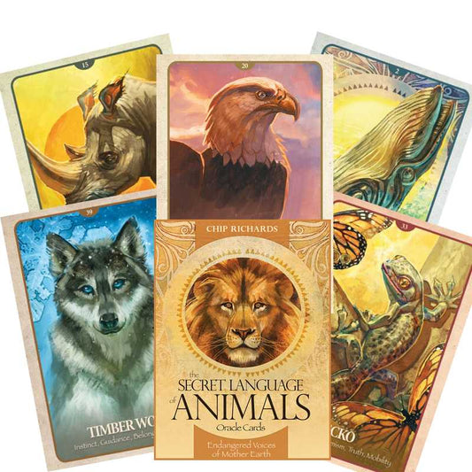 The Secret Language Of Animals Oracle Cards Blue Angel