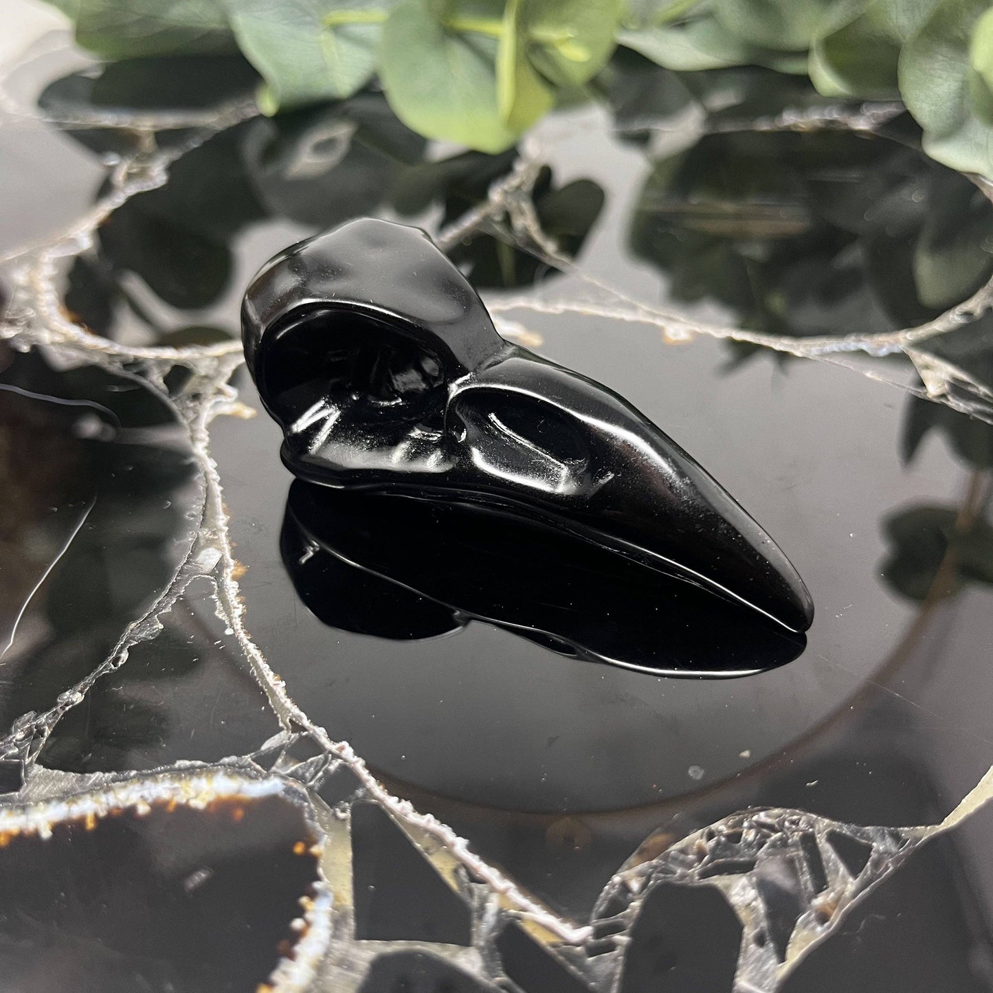 Obsidian Raven Skull Carving - Large