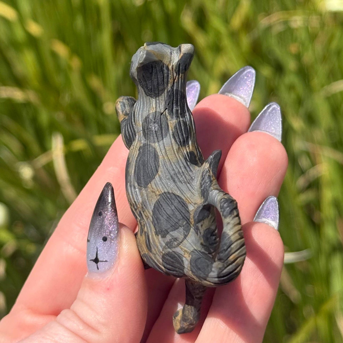 Leopard Jasper Strolling Cat