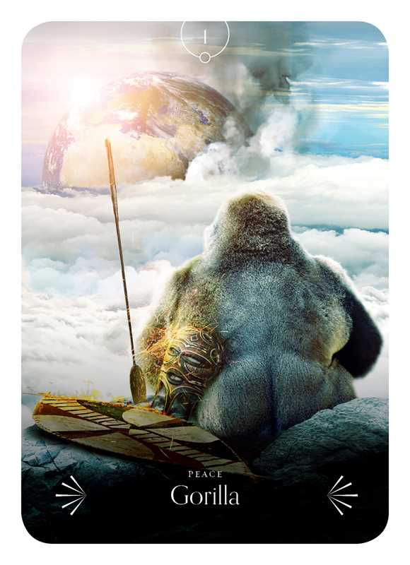 Divine Animals Oracle by Stacey Demarco: Boxed Set/Slip Cased/Casebound; 180 pages / English