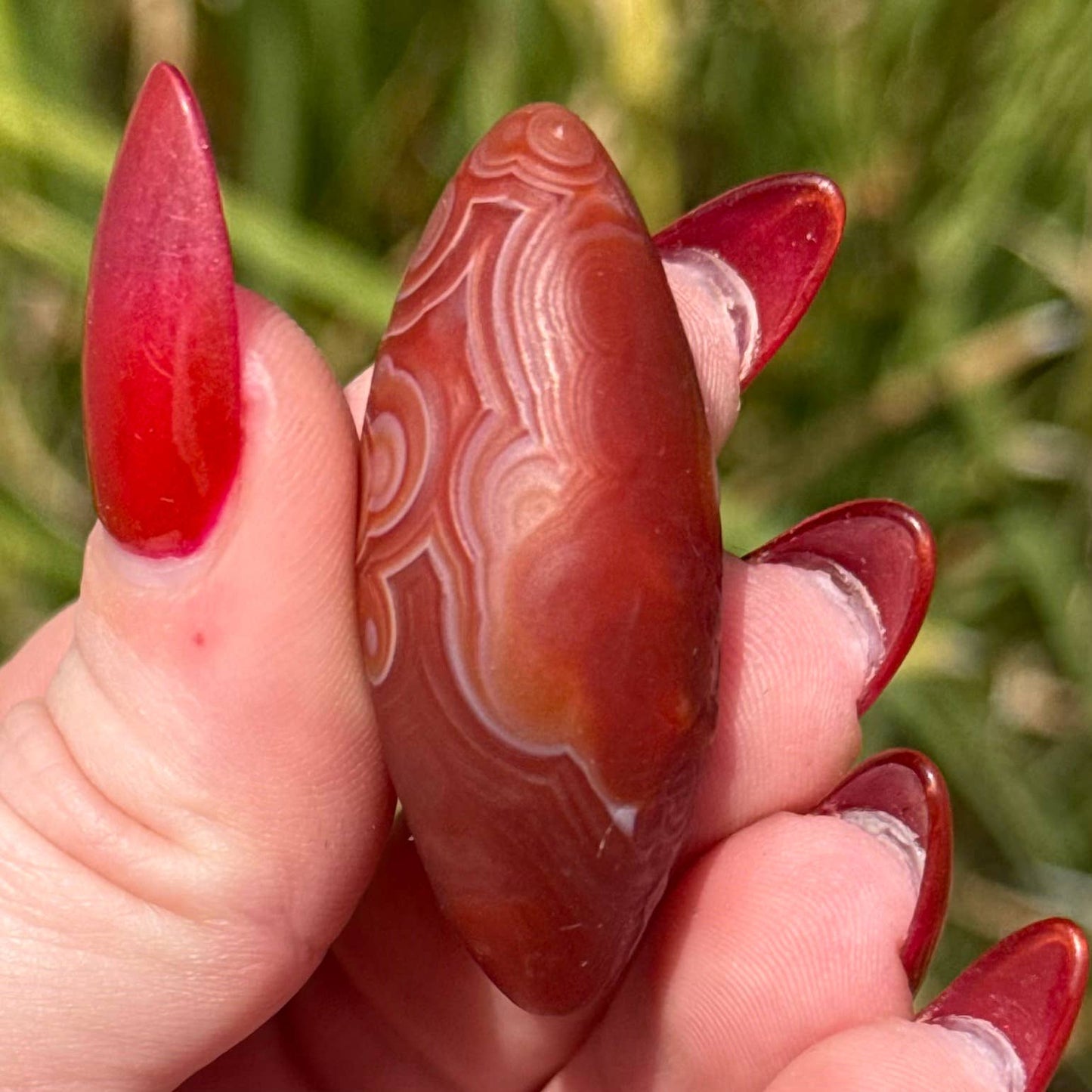 Gobi Agate Specimen