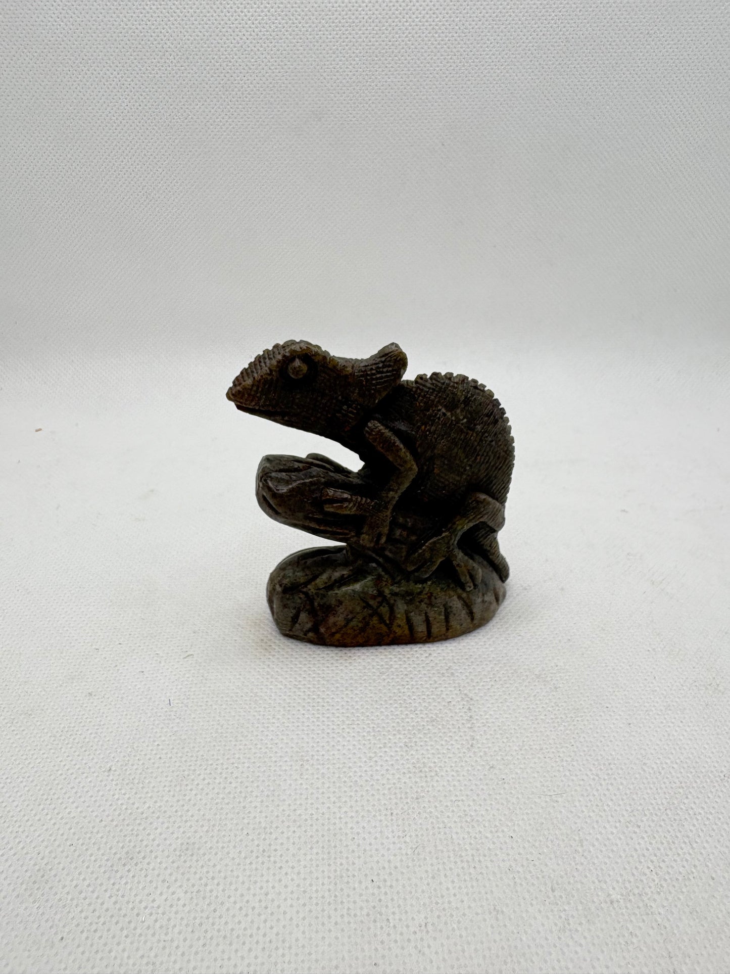 Iguana Serpentine