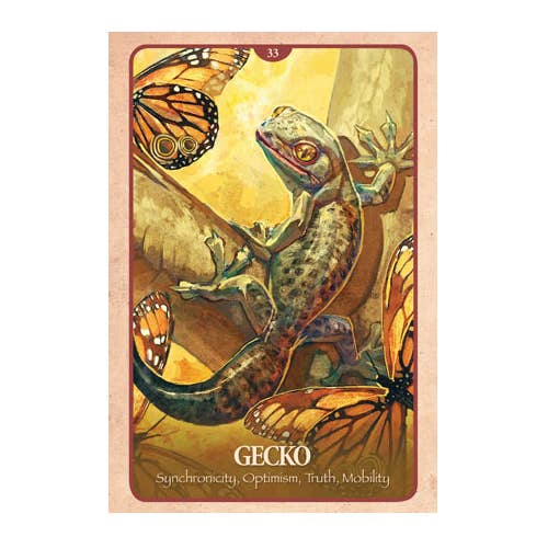 The Secret Language Of Animals Oracle Cards Blue Angel