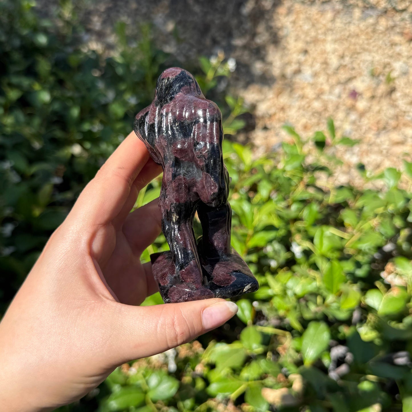 Garnet Arfvedsonite Sasquatch 