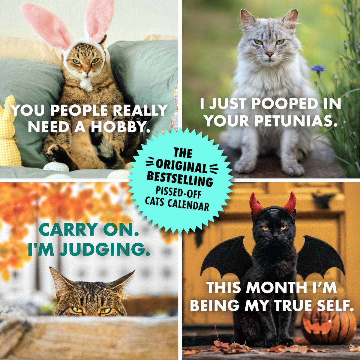 2027 Pissed Off Cats Calendar