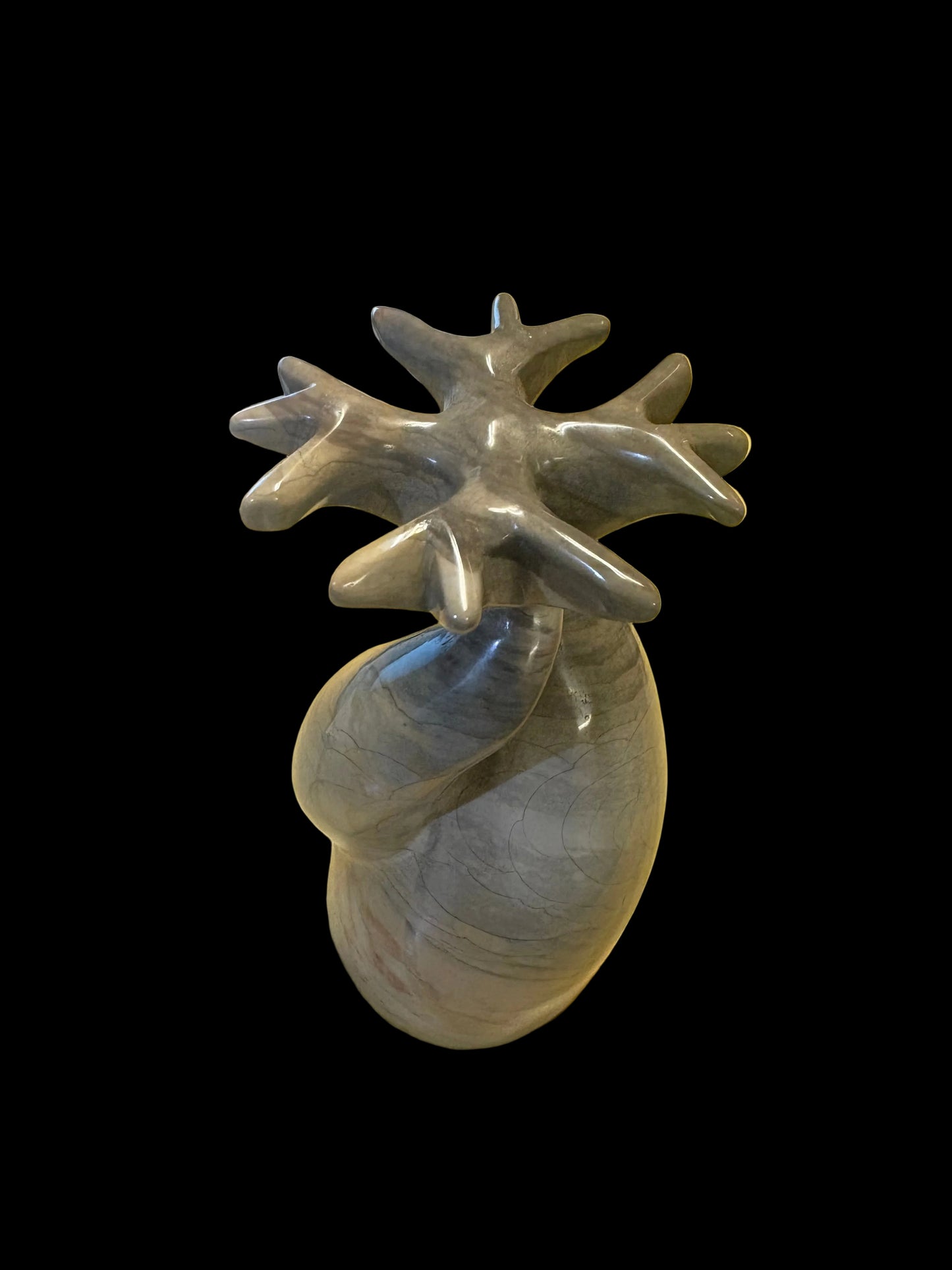 Baobab Tree Medium