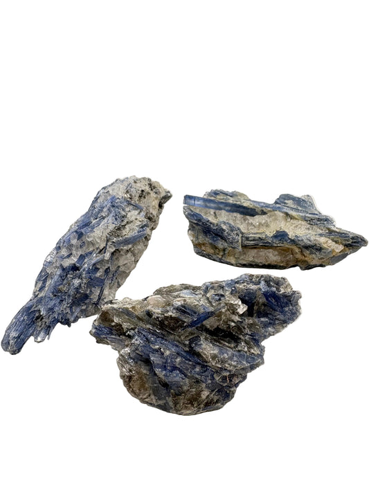 Blue Kyanite Raw X-Small