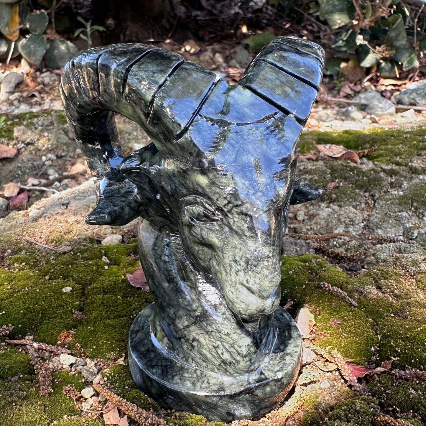 Dark Serpentine Ram Bust | Sold Individually