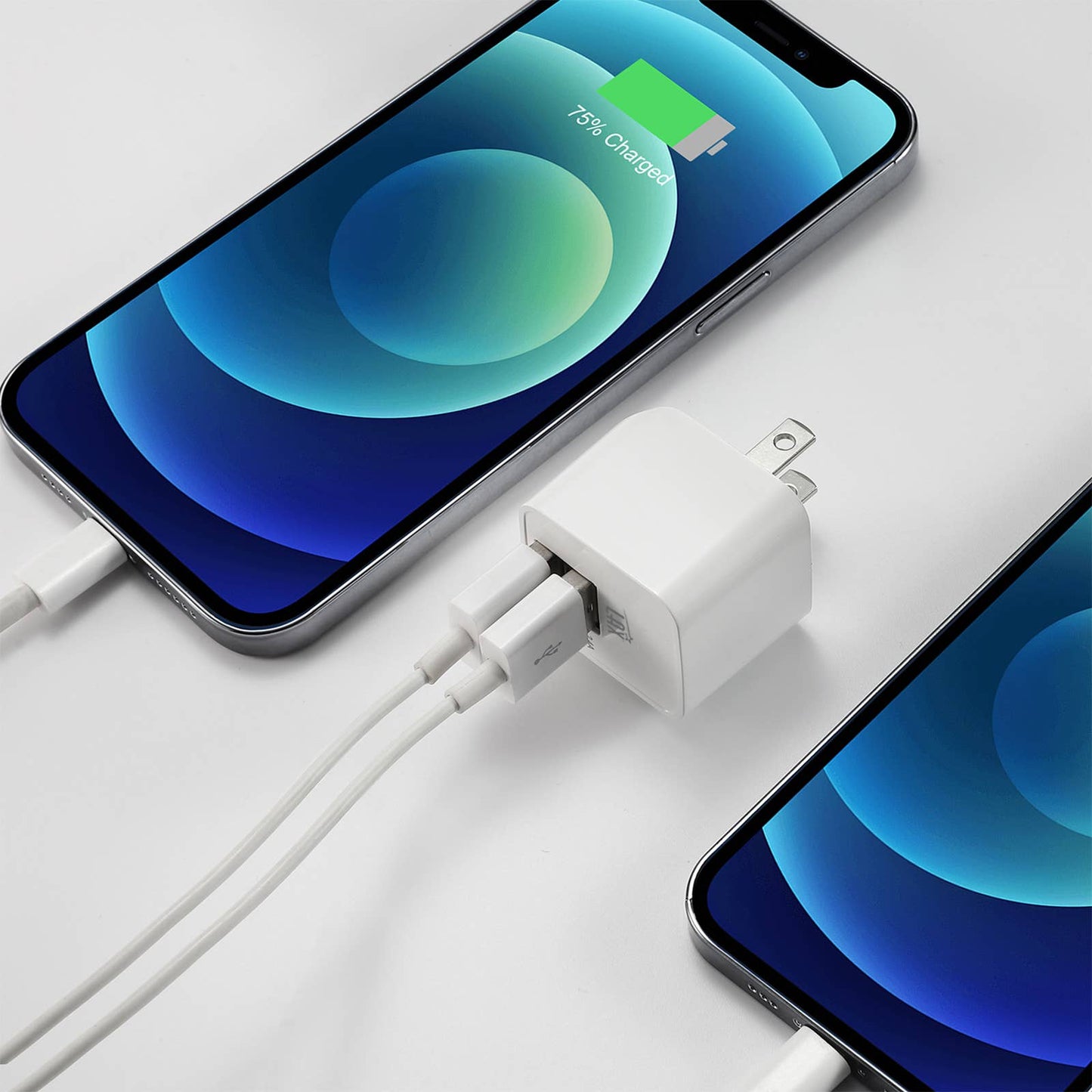 LAX Fast Charging 2 Port USB Wall Charger Retail Pack: Rose Gold