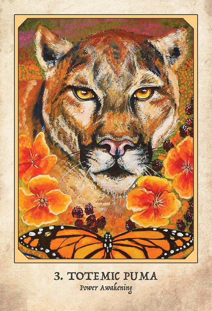 Earth Warriors Oracle Cards Blue Angel